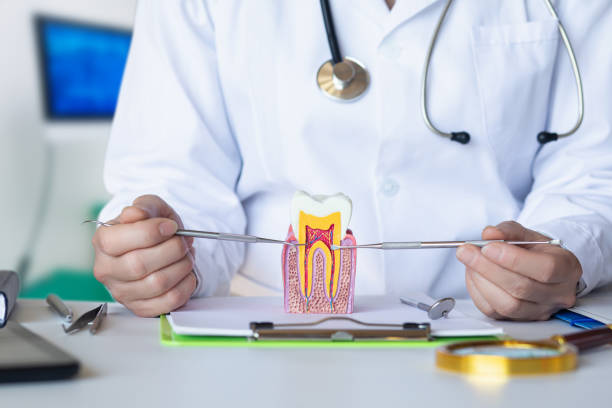 Best Emergency Dentist for Knocked-Out Tooth in Chesterfield, MO